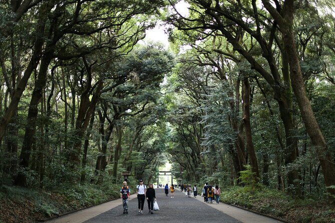Tokyo Tailored 4 Hours Private Guided Tour - Hibiya and Tokyo Midtown Hibiya: Postwar Vibes and Photo-Friendly Alleys