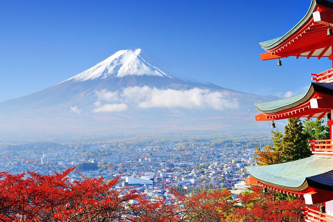 Tokyo to Hakone | Private and Personalized Day Trip with a Local - Onsen time near Yumoto: healing waters, plus real-world logistics
