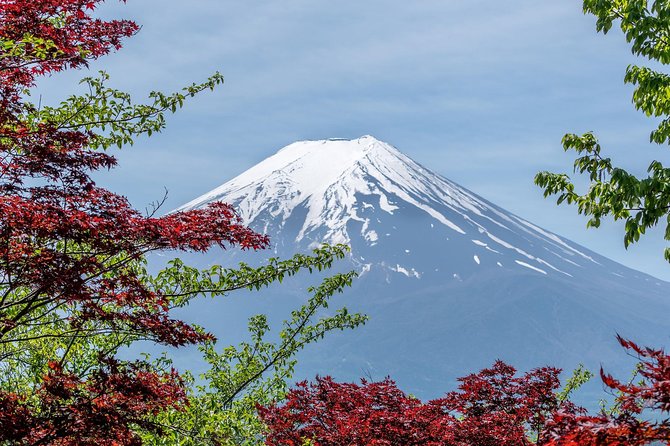 Tokyo to Hakone | Private and Personalized Day Trip with a Local - Price and value: where the money actually goes