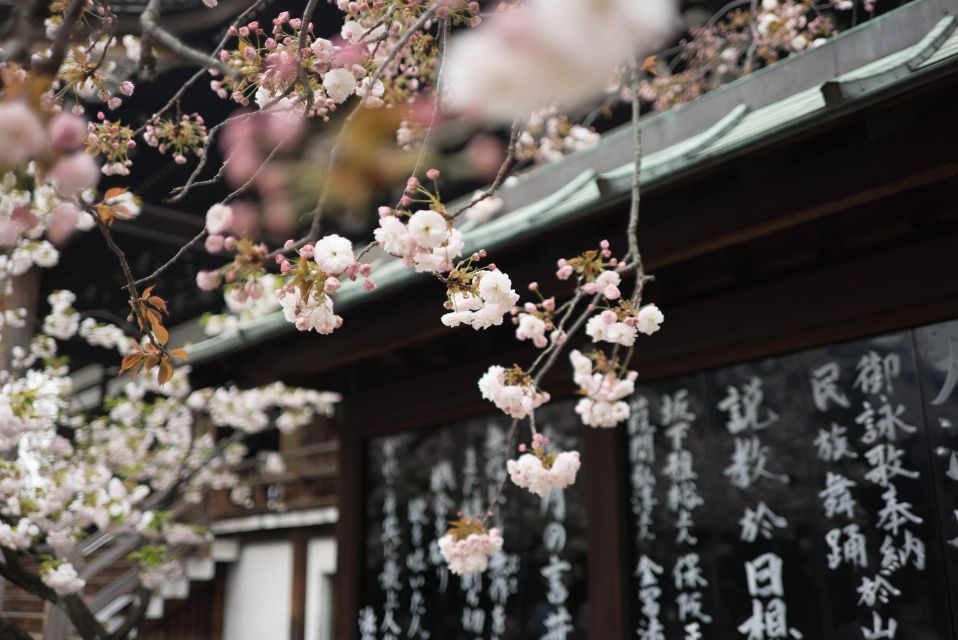 Tokyo to Kawagoe: Private Historical Day Trip - How your guide turns food from tourist bait into local habit