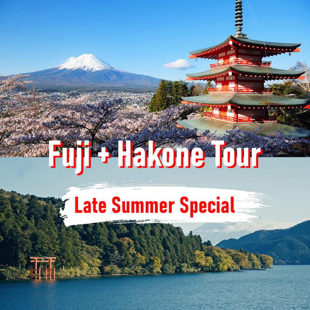 Tokyo to Mount Fuji and Hakone: Private Full-Day Tour - Door-to-door Comfort From Tokyo (and Why It Matters)