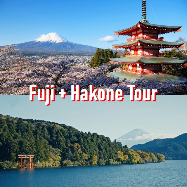 Tokyo to Mount Fuji and Hakone: Private Full-Day Tour - Mount Fuji 5th Station Without the Last-Minute Scramble