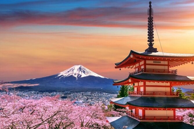 Tokyo To Mount Fuji Private English Guided Day Tour - Pickup, comfort, and an English-speaking driver/guide