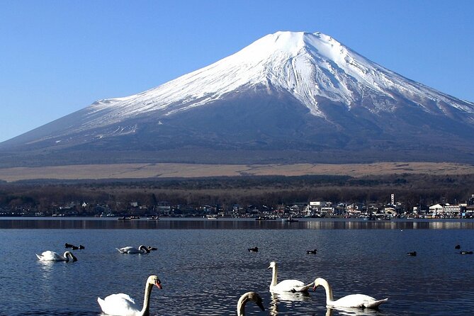 Tokyo To Mount Fuji Private English Guided Day Tour - Kitaguchi Hongu Fuji Sengen Jinja: a short stop with meaning