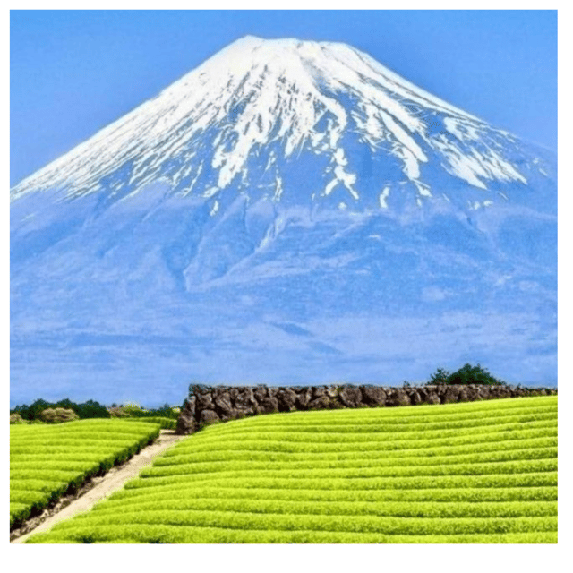“Tokyo to Mt. Fuji & Hakone: Private Customizable Day Trip” - What This Private Fuji and Hakone Day Trip Is Really Like