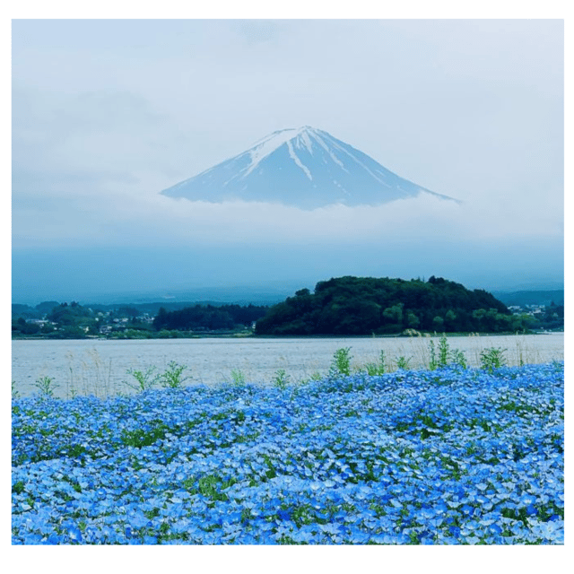 “Tokyo to Mt. Fuji & Hakone: Private Customizable Day Trip” - Lake Kawaguchiko Time (Fuji Reflection Country)