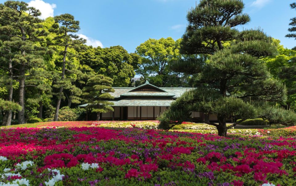 Tokyo: Tokyo Private Day Tour With Guide - Meiji Jingu: forest quiet inside the city