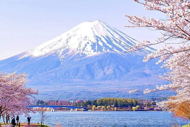 Tokyo: Toshogu Shrine (Nikko Toshogu), Lake Chuzenji, Kegon Falls - Group size and the one real caution: finding your guide