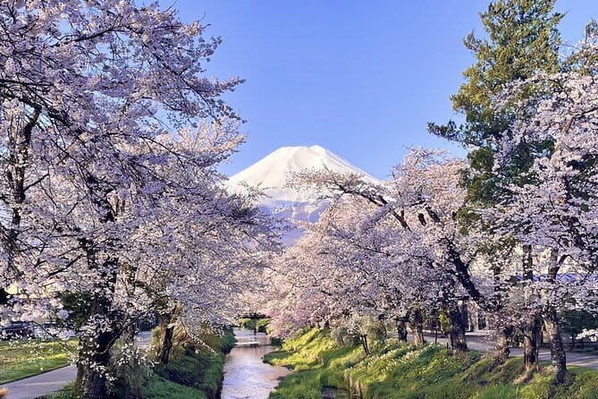 Tokyo: Toshogu Shrine (Nikko Toshogu), Lake Chuzenji, Kegon Falls - Who this Nikko day trip is best for