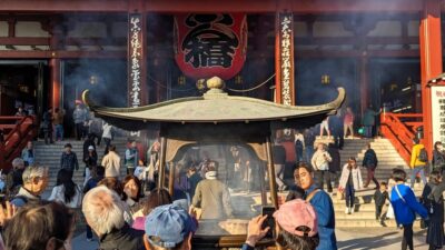 Tokyo: Tour Privado por Tokio en español - Ueno Park and Sakura Avenue: temples, trees, and a slower Tokyo pause