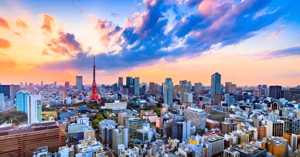 Tokyo Tower: Entry Ticket & Private Hotel Pickup Service - The Real Win: Getting There Cleanly and Leaving Happy