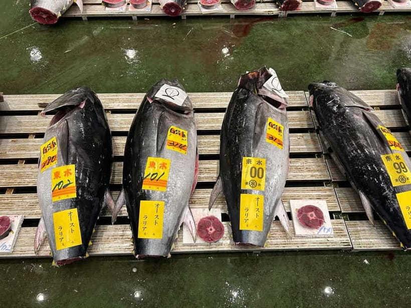 Tokyo Toyosu Tuna Auction + Breakfast (Sushi Dai or Bentomi) - Toyosu at 5:25 AM: Gear Up for the Tuna Rush