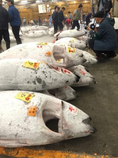 Tokyo: Tsukiji Fish Market Foodie and Educational Tour - Meeting at Lawson’s Tsukiji 4 chome: how to start without stress