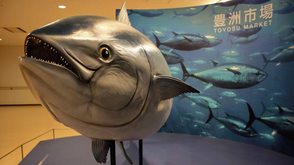 Tokyo Tsukiji Food & Culture Private Tour Licensed Guide - Who this Tokyo Tsukiji and food culture tour suits best