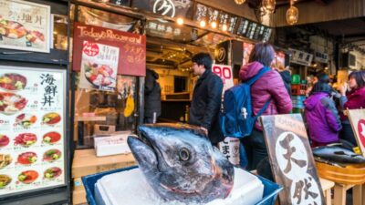 Tokyo Tsukiji Food & Culture Private Tour Licensed Guide - Outer Tsukiji: the street-market feel, plus etiquette and snack strategy