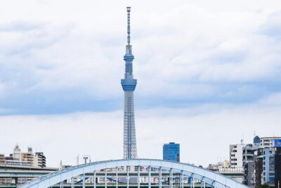 Tokyo Unlocked: A Private Day of Culture, Cuisine & City Secrets - The day plan, stop by stop: what you’ll get and what to watch for