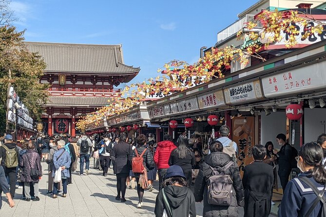 Tokyo VIP Guided Private Car Tour with Optional Airport Transfer - A private car plus a guide: the Tokyo shortcut that saves your energy