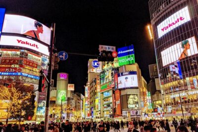 Tokyo VIP Guided Private Car Tour with Optional Airport Transfer - Pickup, timing, and how the van changes the day