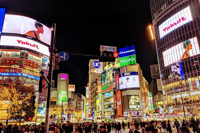Tokyo VIP Guided Private Car Tour with Optional Airport Transfer - Pickup, timing, and how the van changes the day