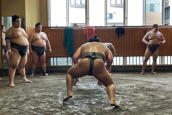 Tokyo: Visit Sumo Morning Practice with English Guide - Takasagobeya practice: what you’ll see in 90 minutes to 2 hours
