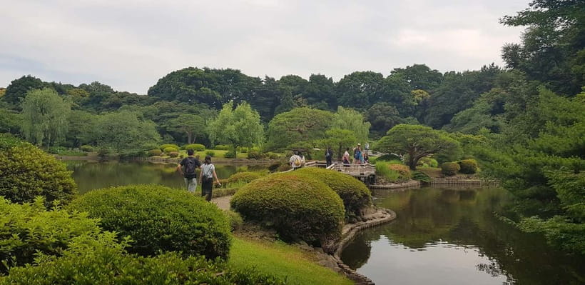 Tokyo Walk through: Shinjuku, Harajuku, Omotesando & Shibuya - The food-and-art pulse of Shinjuku (and where a guide earns their fee)