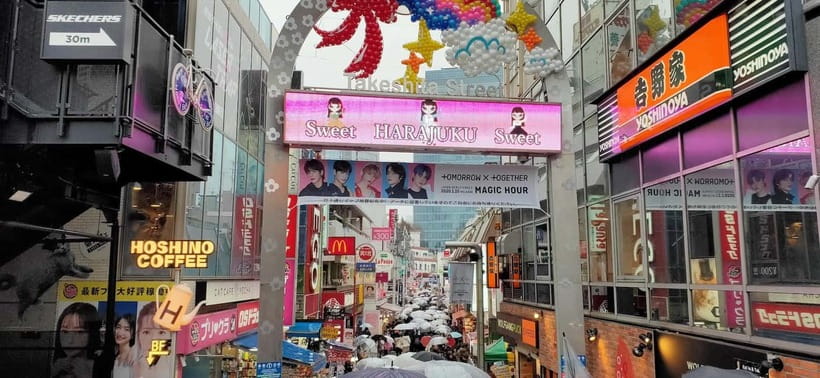 Tokyo Walk through: Shinjuku, Harajuku, Omotesando & Shibuya - The walking reality: how to make it enjoyable