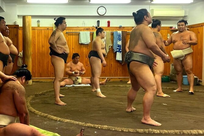 Tokyo Walking Tour : Sumo, Sushi, Tea, Temples and Tokyo Tower - Key highlights worth knowing before you go