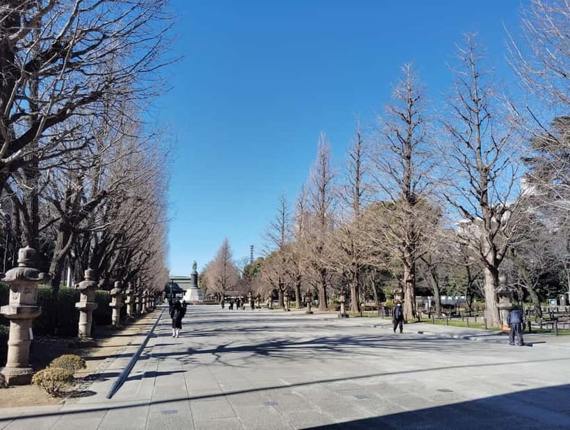 Tokyo War History Tour: Yasukuni Shrine & War Museum - Price and value: $87 for guided meaning, not just admissions