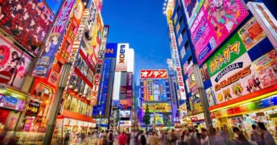 Tokyo: Winter Illuminations Private Tour with a Local - Personal matching: what happens after you book