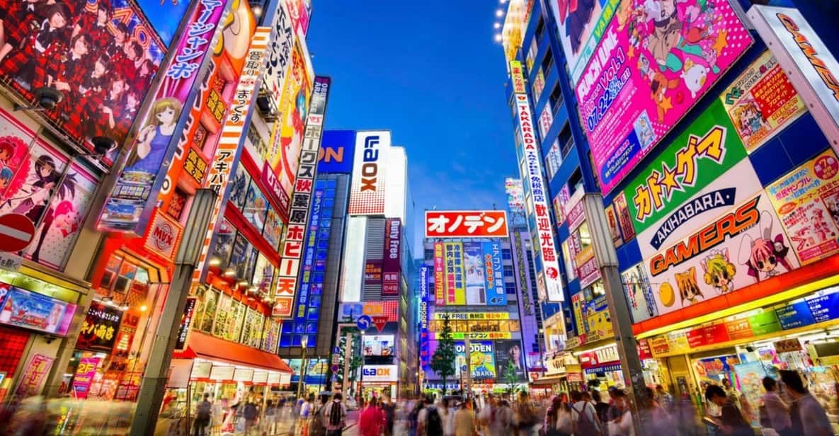 Tokyo: Winter Illuminations Private Tour with a Local - Christmas markets and attractions: how to steer the day