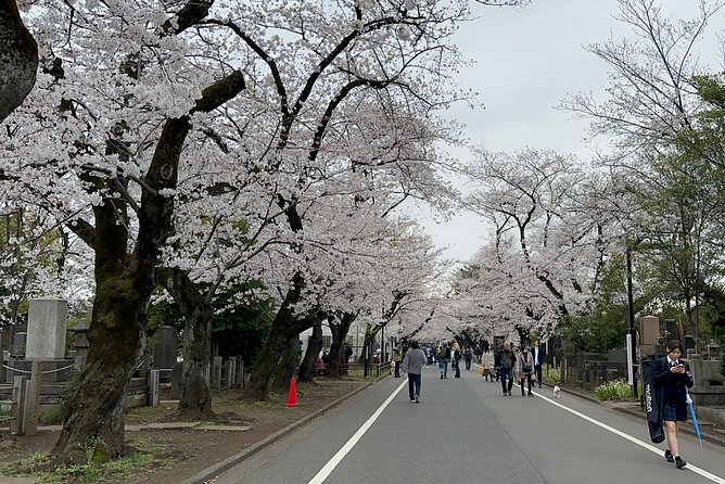 Tokyo : Yanaka and Nezu-Old Traditional Town Cultural Experience - Yanaka District: seeing Meiji, Taishō, and Showa traces on real streets