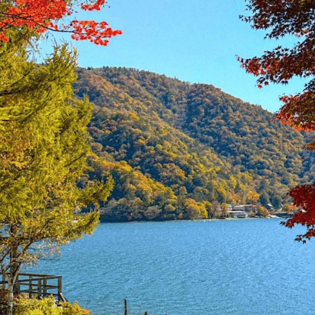 Tokyo → Nikko:Private Customizable Day Trip (English Driver) - Edo Wonderland as an optional time-saver or fun add-on