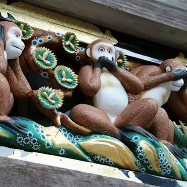 Tokyo → Nikko:Private Customizable Day Trip (English Driver) - Nikkō National Park: forests, trails, and photo-friendly stops