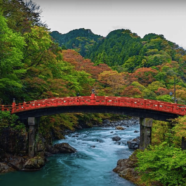 Tokyo → Nikko:Private Customizable Day Trip (English Driver) - Kegon Falls: 90 meters of wow, best in autumn (or winter ice)