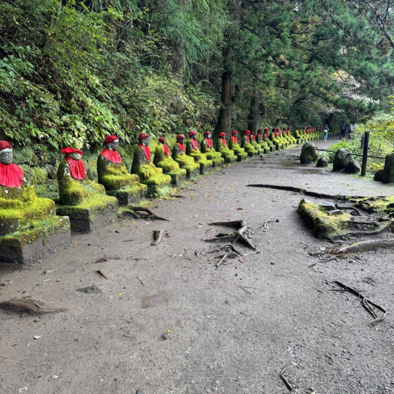 Tokyo → Nikko:Private Customizable Day Trip (English Driver) - Nikko town and Tochigi region: culture beyond the postcard hits