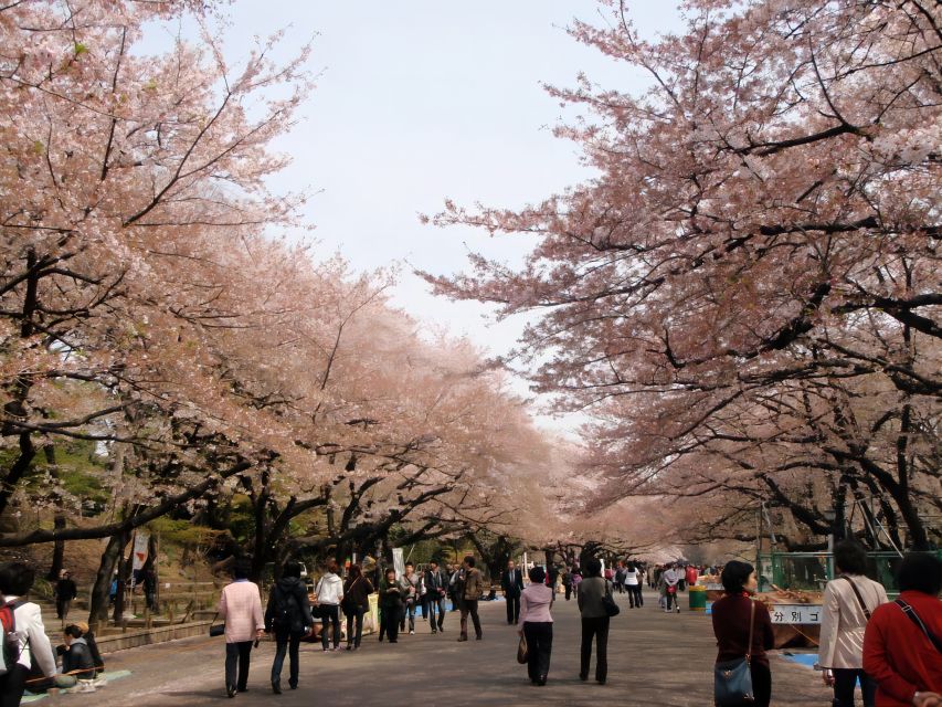 Tokyo:Cherry Blossom Mt Fuji & Shibazakura Festival Day Trip - Oshino Hakkai Springs: quiet ponds and rural calm