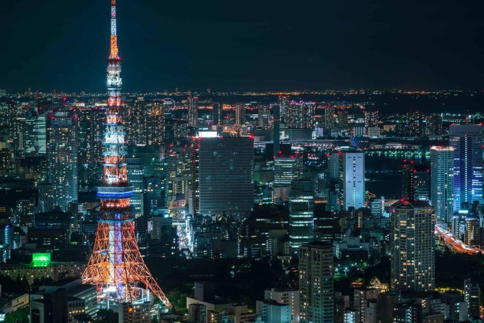 Tokyo:Cherry Blossom Mt Fuji & Shibazakura Festival Day Trip - Price and timing: where the $77 feels fair