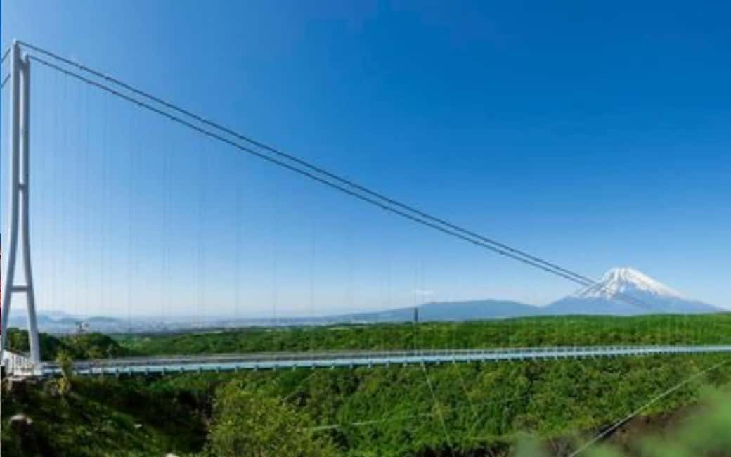 Tokyo:Customizable Private Day Trip to Mt.Fuji & Safari Park - Private 10-Hour Plan From Tokyo: How This Day Stays Worth It