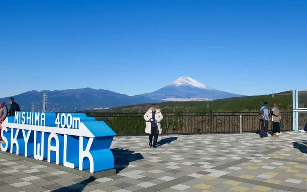 Tokyo:Customizable Private Day Trip to Mt.Fuji & Safari Park - Fuji Safari Park: Animals, Jungle Bus, and Real Variety