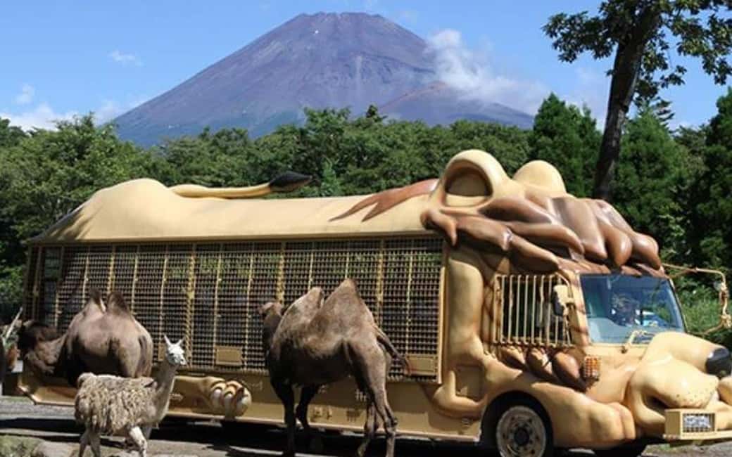Tokyo:Customizable Private Day Trip to Mt.Fuji & Safari Park - The Core of the Day: The 5 Lakes Around Mt. Fuji
