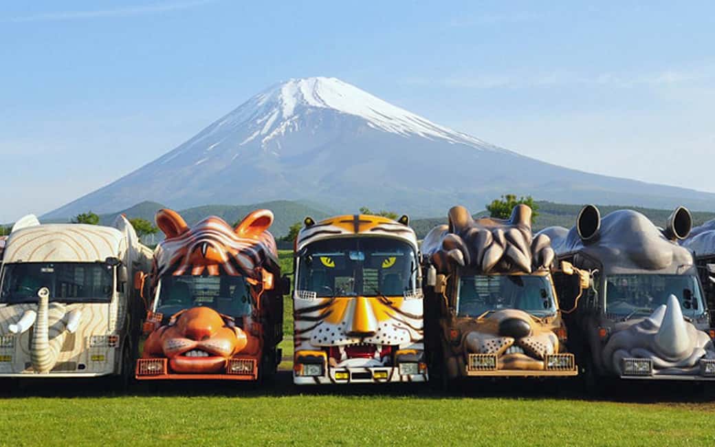 Tokyo:Customizable Private Day Trip to Mt.Fuji & Safari Park - Fuji Motor Sports Museum and the Segway Ride Add-On