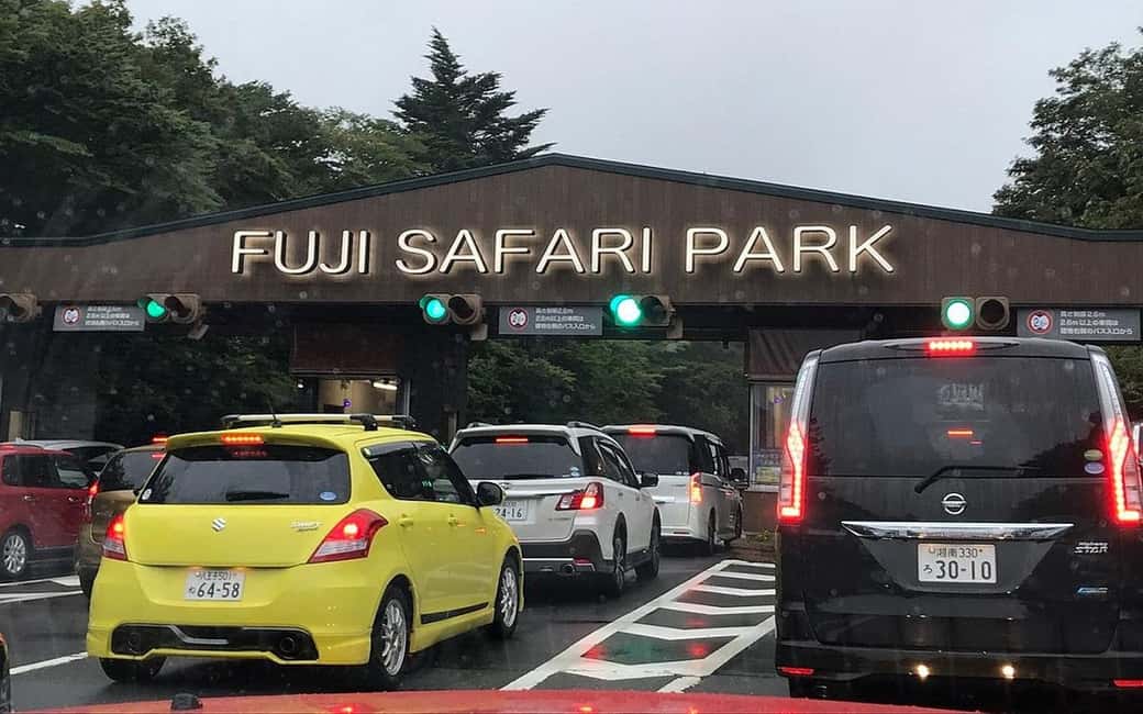 Tokyo:Customizable Private Day Trip to Mt.Fuji & Safari Park - Guide and Driver Quality: What You Gain Beyond the View