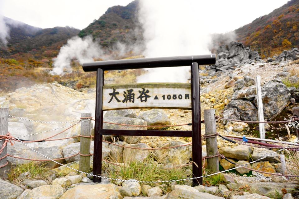 tokyo:Hakone Owakudani & Gotemba Premium Outlet 1d Tour - Should you book this Hakone Owakudani & Gotemba tour?