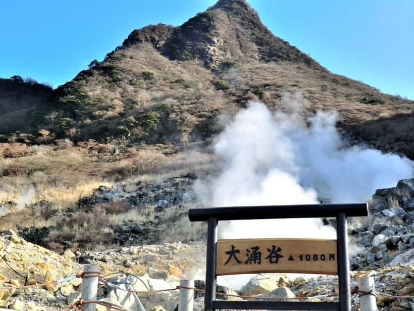 tokyo:Hakone Owakudani & Gotemba Premium Outlet 1d Tour - Gotemba Premium Outlets: 2.5 hours of shopping without the planning headache