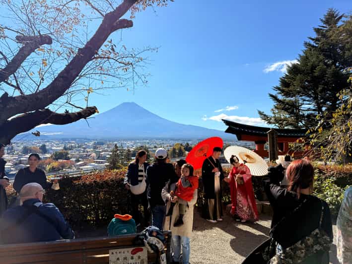 Tokyo:Mt Fuji & Hakone Day Tour with English Speaking Driver - Why This Private Fuji and Hakone Day Beats Public Transit Days