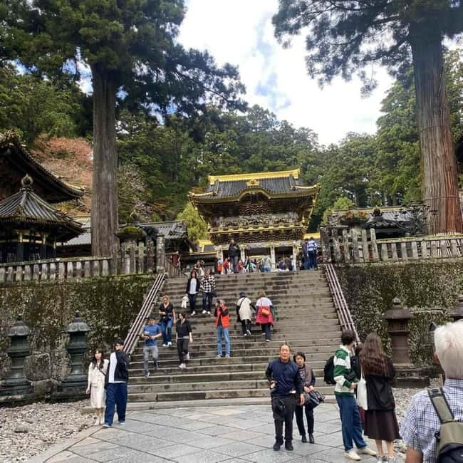 Tokyo:Nikko UNESCO World Heritage Sites Private 1-Day Tour - A Private Nikko Day That Fits UNESCO Shrines, Sacred Bridges, and Park Views