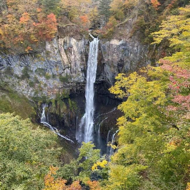 Tokyo:Nikko UNESCO World Heritage Sites Private 1-Day Tour - Hotel Pickup to Nikko: Why the Private Vehicle Matters More Than You Think