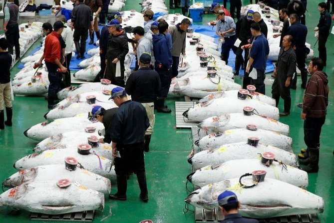 Toyosu Market Morning Tuna Auction and Tsukiji Food Tour with Licensed Guide - Toyosu Market walk: how the morning changes once the auction is over