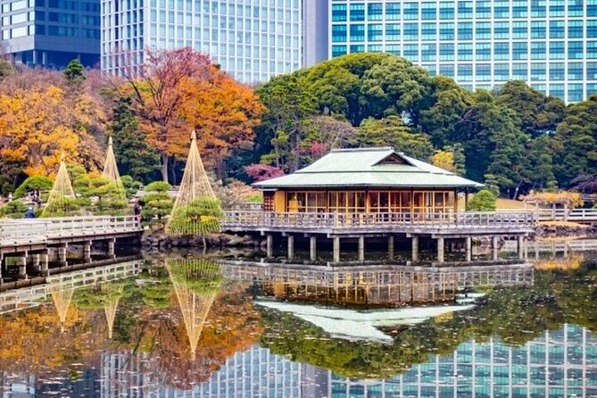 Tsukiji Food Strolling and Hama Rikyu Garden Walking Tour - Stop 3: Hama Rikyu Gardens—where the city noise fades
