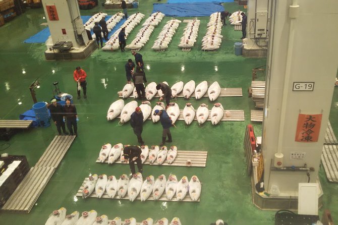 Tuna auction at Toyosu Market with qualified guide and early morning tour of Tsukiji Outer Market - Price ($216.77) and whether the private guide is good value